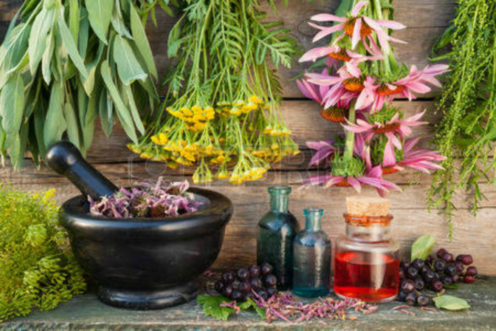 Garden of Yve Farmacy