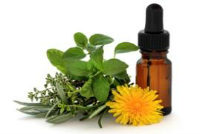 Garden of Yve Farmacy