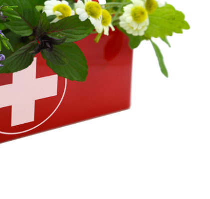 Garden of Yve Farmacy