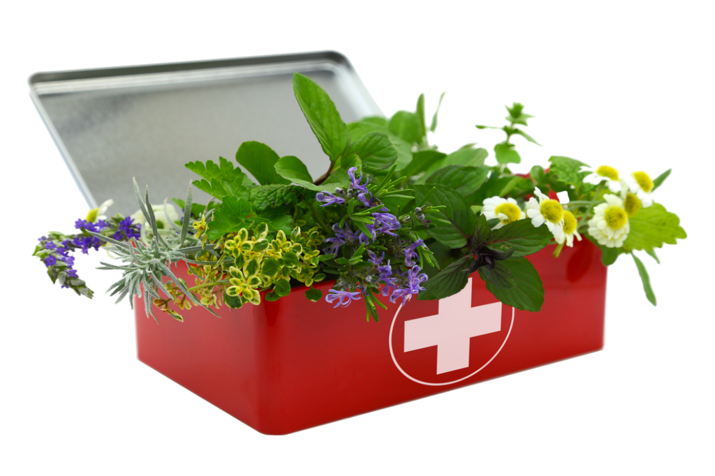 Garden of Yve Farmacy