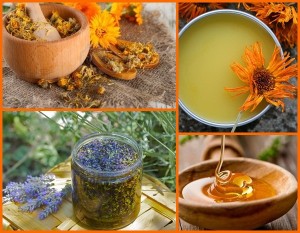 Garden of Yve Farmacy