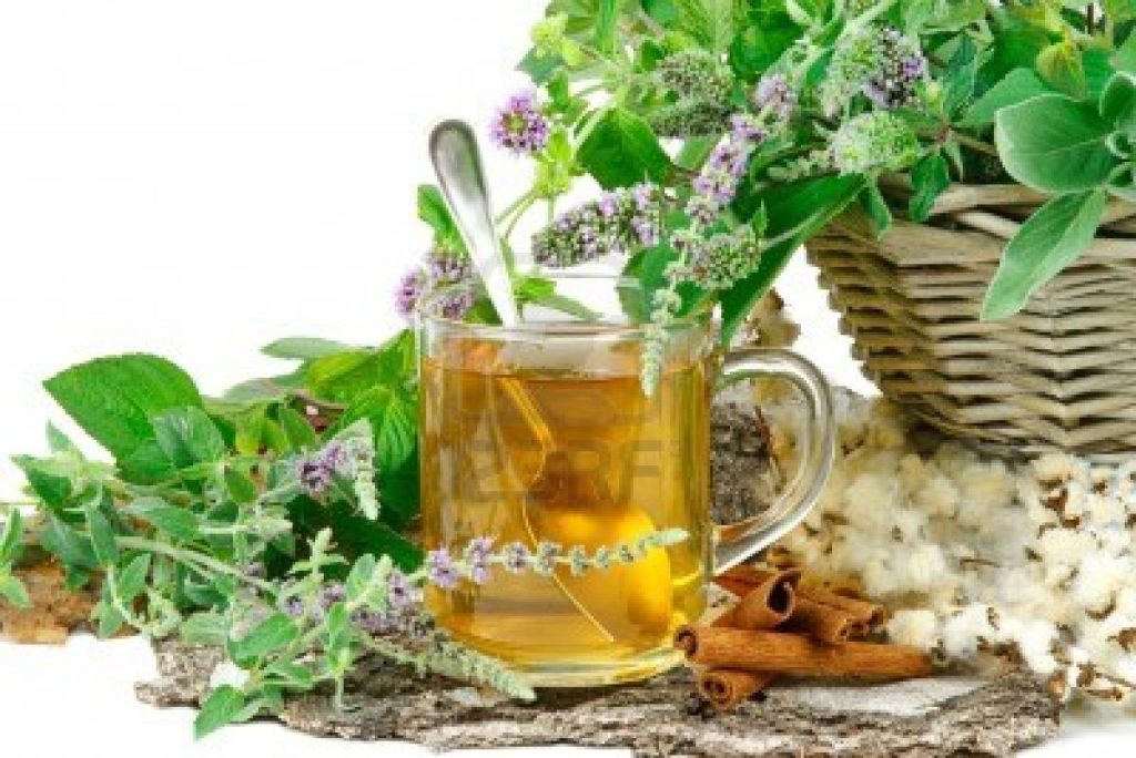 Garden of Yve Farmacy