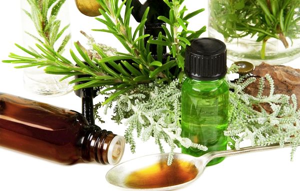 Garden of Yve Farmacy