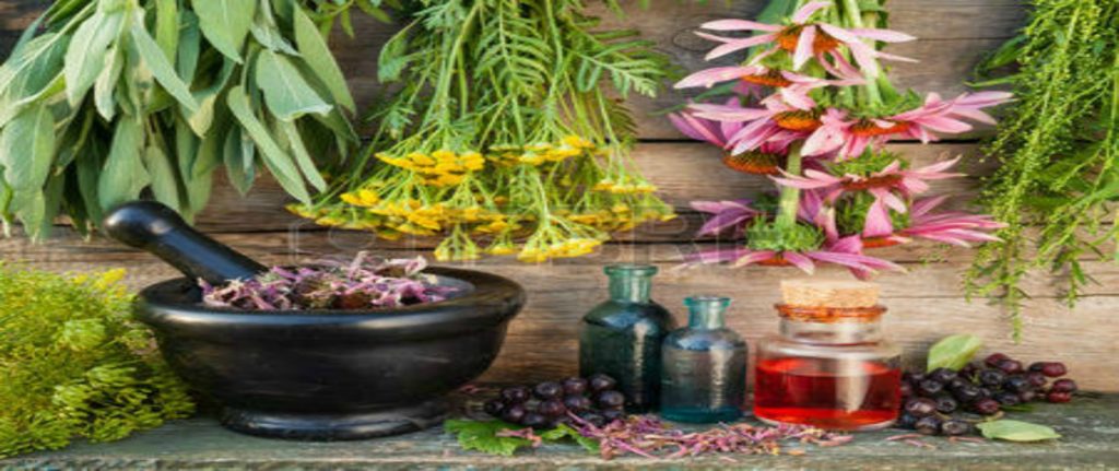 Garden of Yve Farmacy