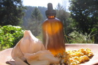 Garden of Yve Farmacy