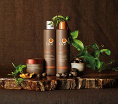 Garden of Yve Farmacy