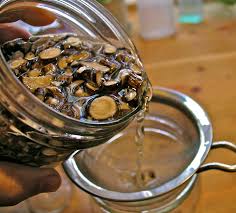 Garden of Yve Farmacy