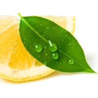 Garden of Yve Farmacy