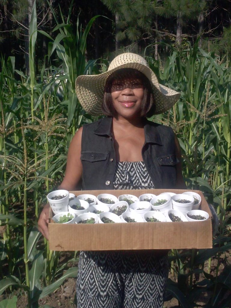 Garden of Yve Farmacy