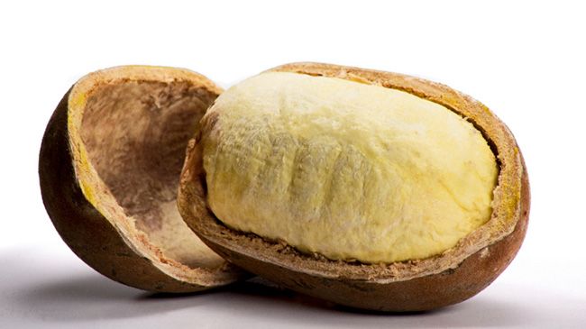 Garden of Yve Farmacy