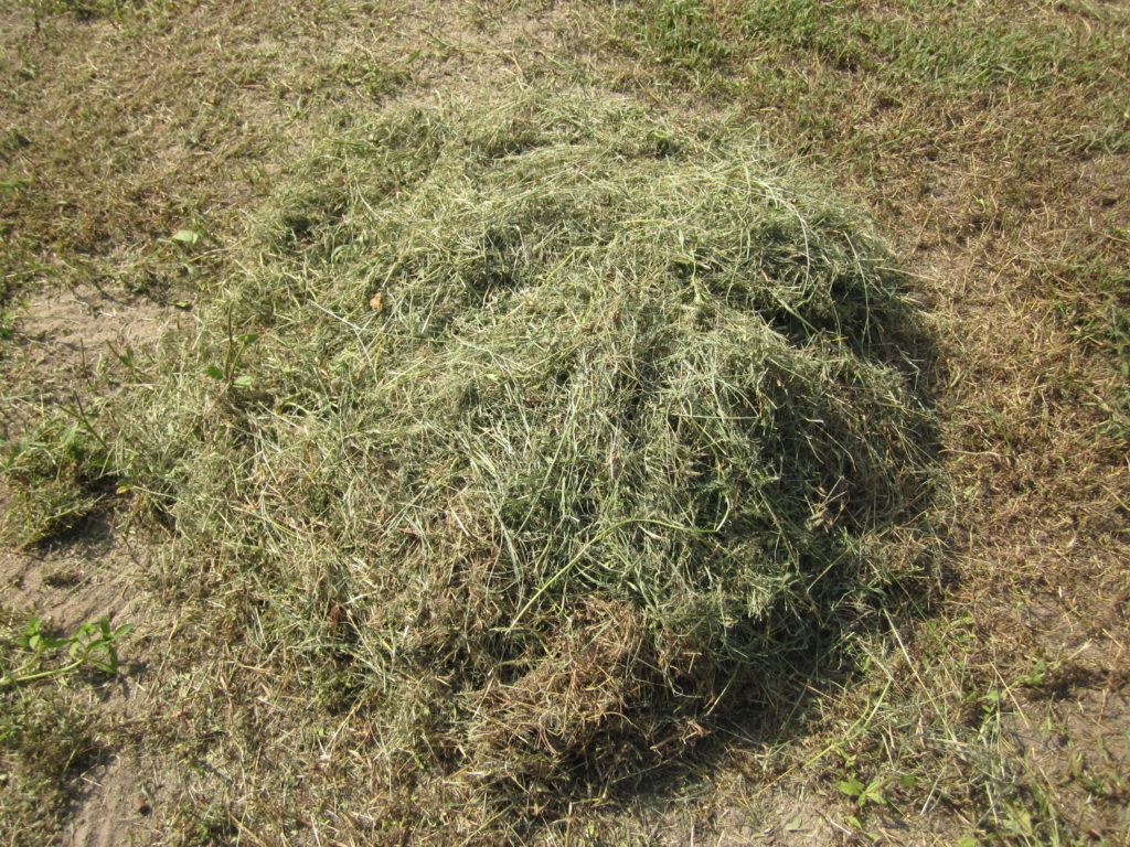 Garden of Yve Farmacy