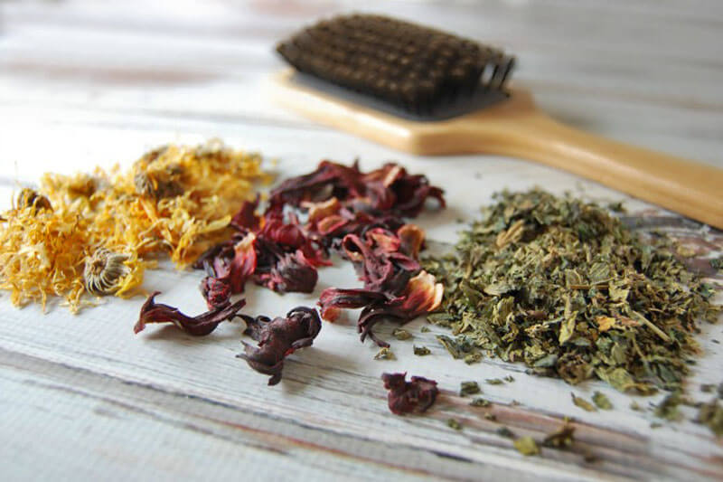 Garden of Yve Farmacy