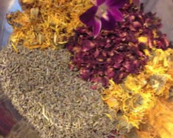 Garden of Yve Farmacy