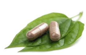 Garden of Yve Farmacy