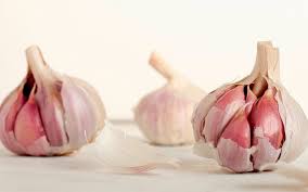 Garden of Yve Farmacy