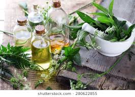 Garden of Yve Farmacy