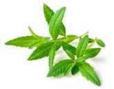 Garden of Yve Farmacy