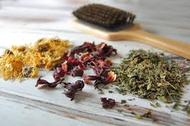 Garden of Yve Farmacy