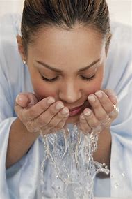 Garden of Yve Farmacy