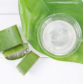 Garden of Yve Farmacy