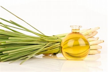 Garden of Yve Farmacy