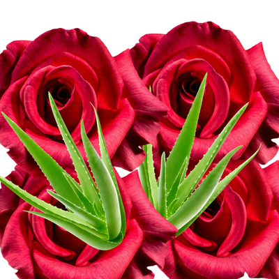 Garden of Yve Farmacy